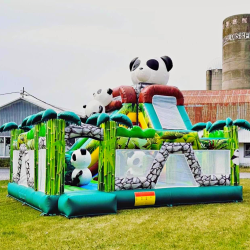 Le Monde Des Pandas