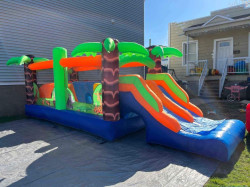 Tropical Obstacle Course
